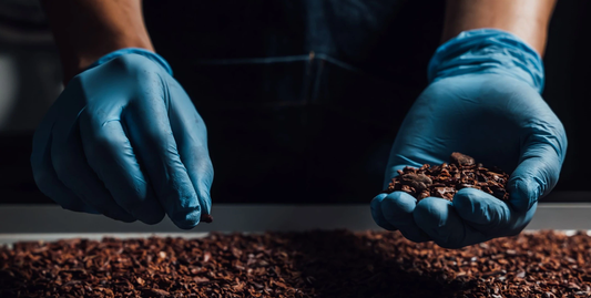 カカオ豆の粉砕のお話 |  | MAMEIL NAMA CHOCOLATE MACARON