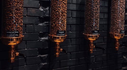 MAMEILのチョコレートのお話 | | MAMEIL NAMA CHOCOLATE MACARON