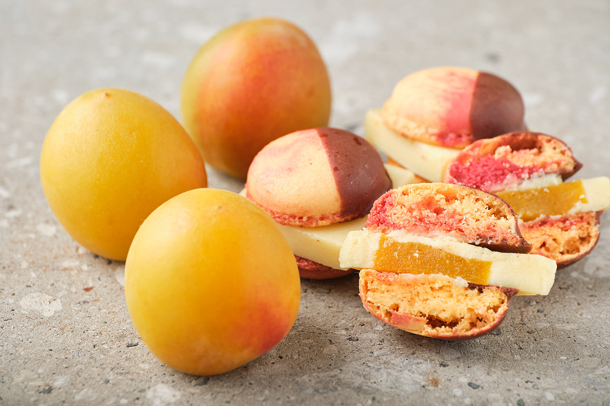 Chocolate / 超完熟南高梅 -（6個入） – MAMEIL NAMA CHOCOLATE