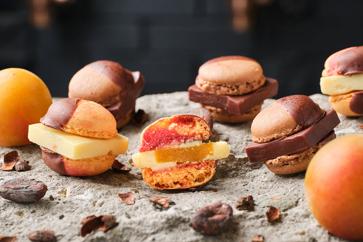 Chocolate / 超完熟南高梅 -（6個入） – MAMEIL NAMA CHOCOLATE