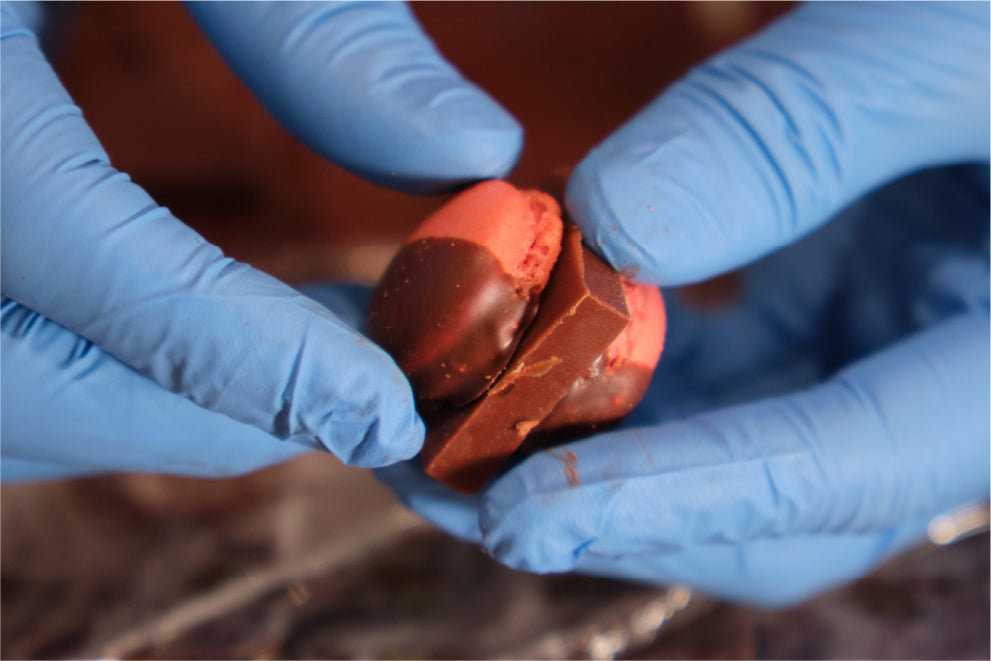 厳選素材コラボシリーズ2