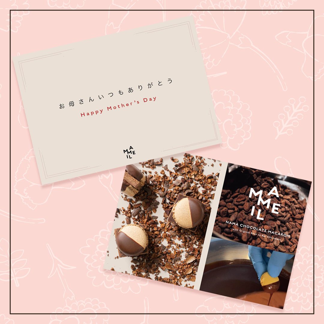 MAMEIL NAMA CHOCOLATE MACARON | マメイル生チョコレートマカロン（6
