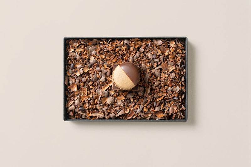 MAMEIL NAMA CHOCOLATE MACARON - Chocolate / Salty vanilla -（6個入）