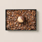 〈才賀様紹介専用ページ〉MAMEIL NAMA CHOCOLATE MACARON - Chocolate -（6個入）