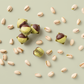 〈才賀様紹介専用ページ〉MAMEIL NAMA CHOCOLATE MACARON - Pistachio -（6個入）