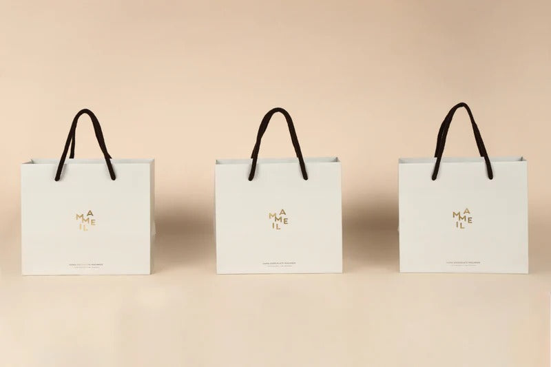 Chocolate / 超完熟南高梅 -（6個入） – MAMEIL NAMA CHOCOLATE