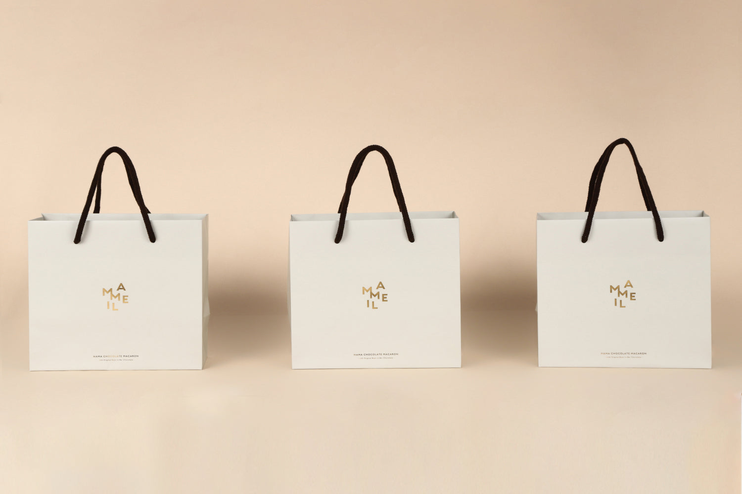 MAMEIL NAMA CHOCOLATE MACARON | マメイル生チョコレートマカロン（6